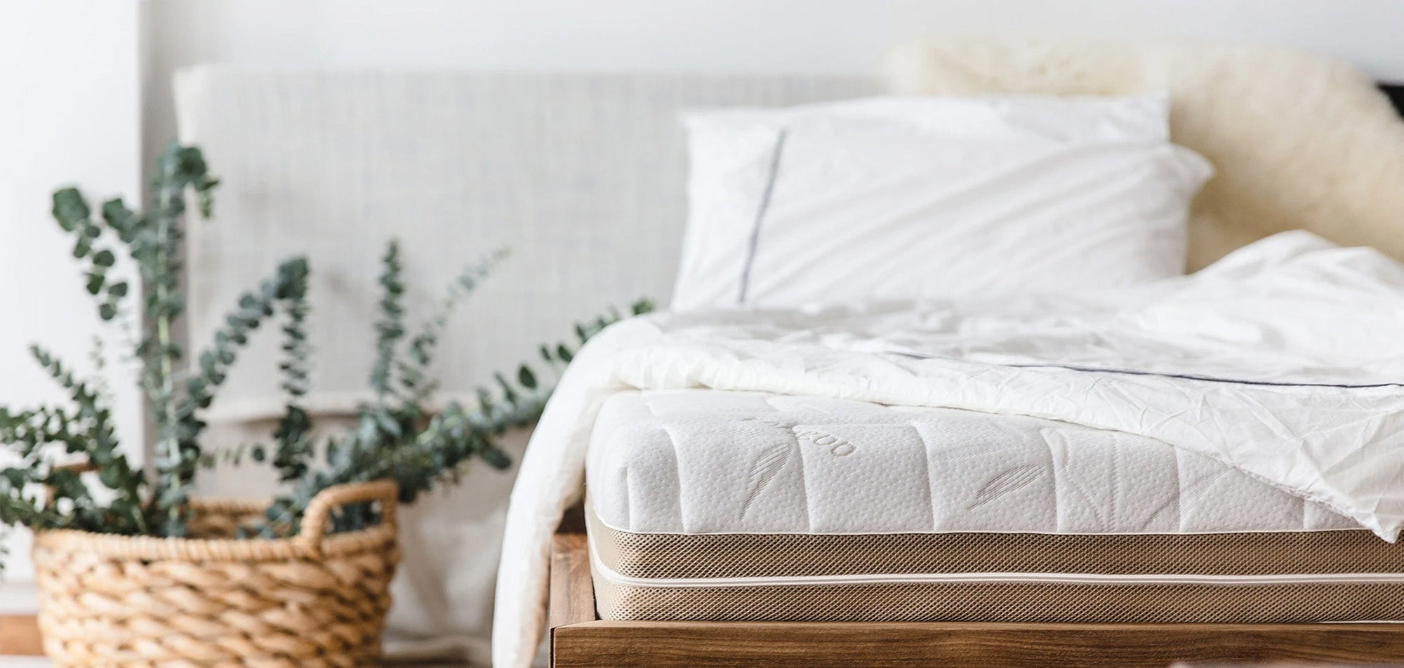The Pros and Cons of Latex Mattresses