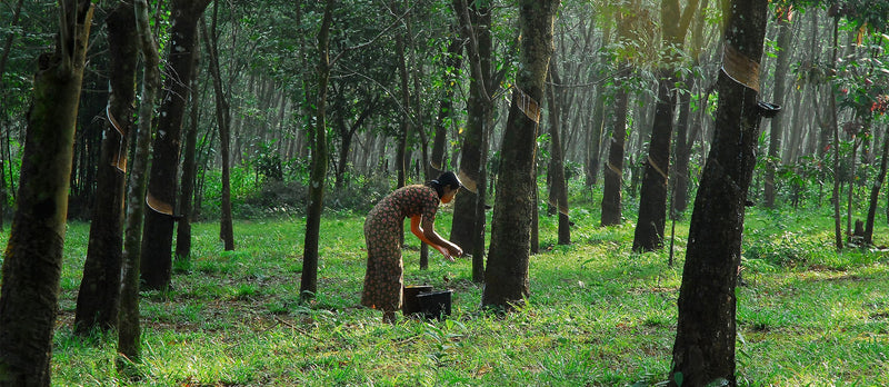 Your guide to living a more sustainable life at home in 2025